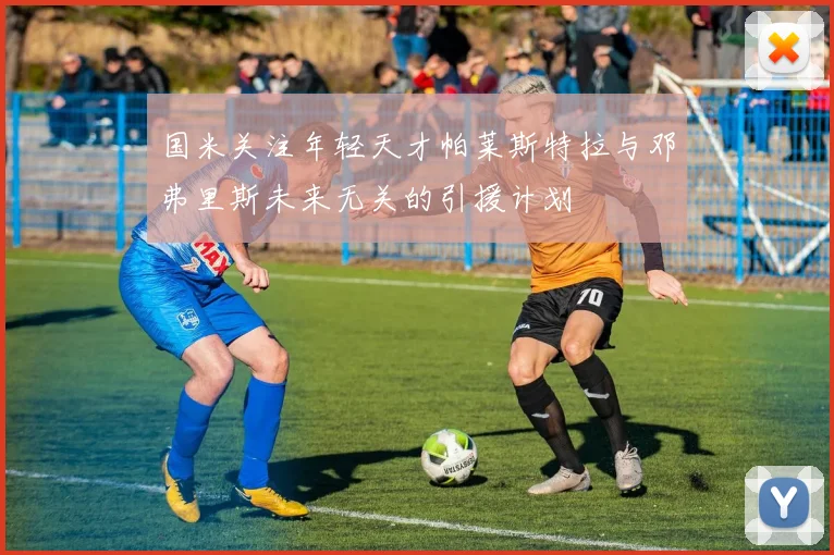 国米关注年轻天才帕莱斯特拉与邓弗里斯未来无关的引援计划