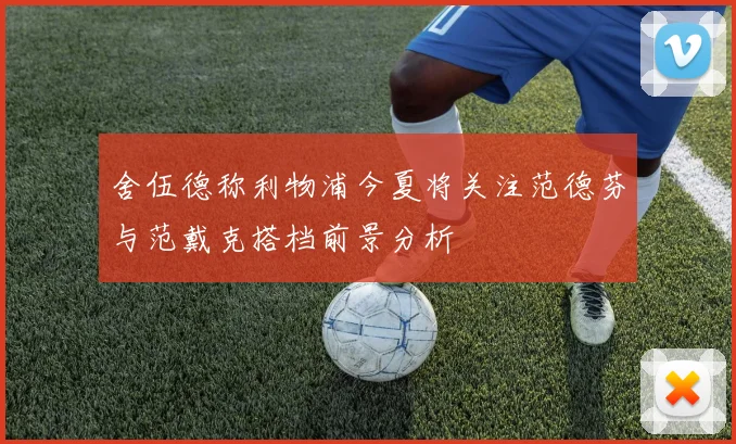 舍伍德称利物浦今夏将关注范德芬与范戴克搭档前景分析